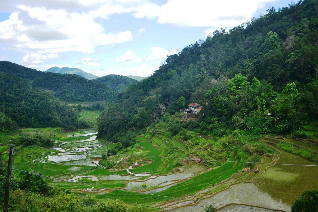 Banaue Greenfields Inn Екстер'єр фото
